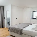Luxury Baotic Apartament