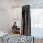 Luxury Baotic Apartament